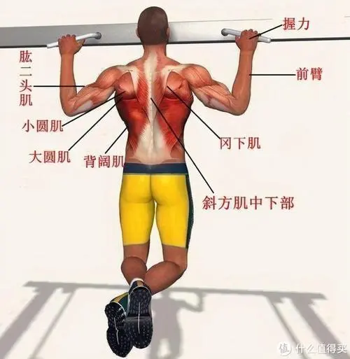 籃球帶器材的體能訓(xùn)練叫什么 籃球帶器材的體能訓(xùn)練叫什么